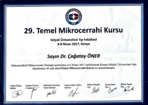 cagatay-oner-sertifikalar-4