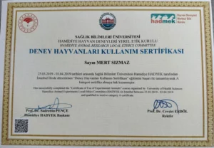 mert-sizmaz-sertifika-3