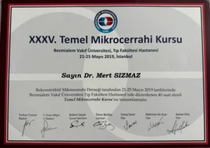 mert-sizmaz-sertifika-4