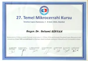 43- 27. temel mikroc